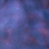 17069